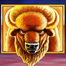 buffalo blitz symbol 1 2