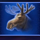 buffalo blitz symbol 5 1